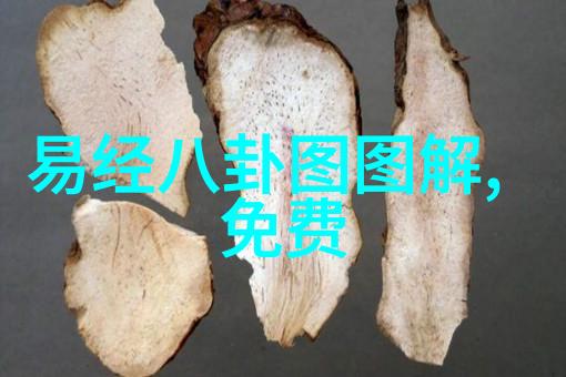 主题-深度解析如何学好八卦运用与八卦的精髓