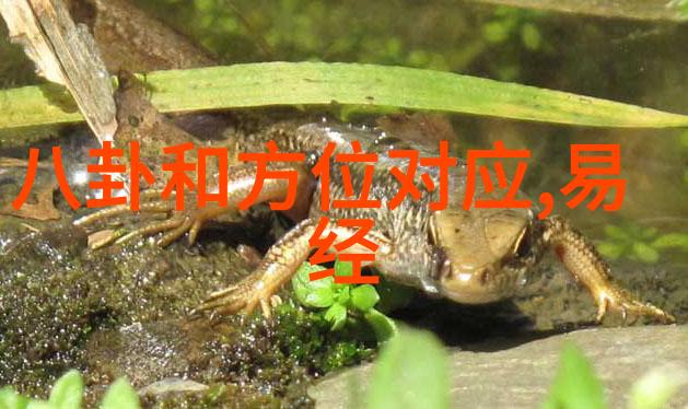 失望与心寒的瞬间人脸表情的深度捕捉