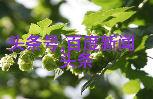 汤芳写真背后的秘密