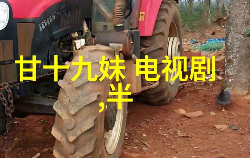 少女的梦想追逐银幕上的奇迹
