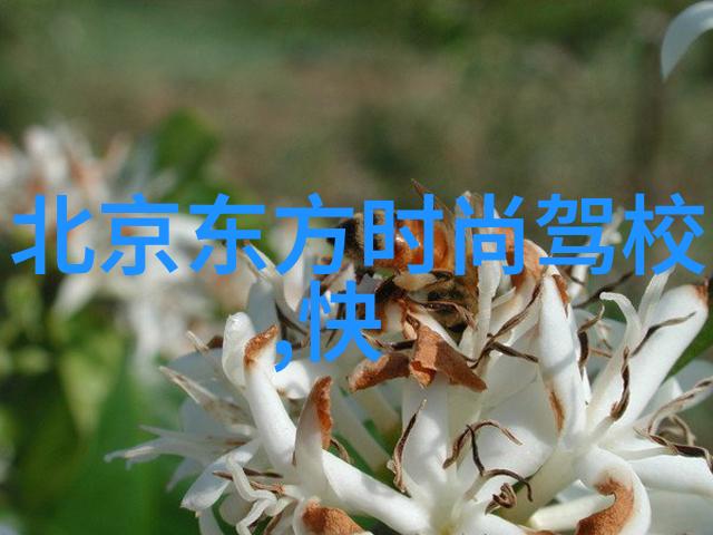 从大唐到妖魔鬼怪哪些元素将在电影中得到展示呢