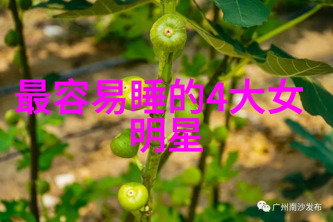 星汉灿烂悬念解锁免费观看完整版揭秘未知世界