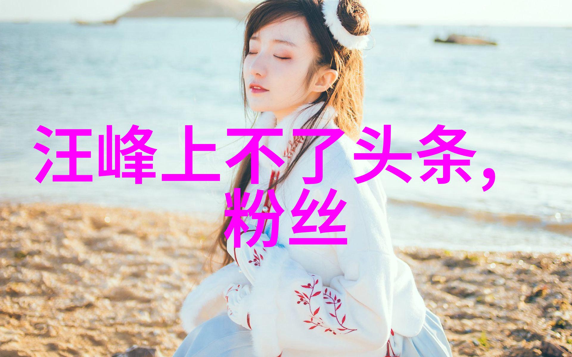 明星偶像的背后一位综艺男神的崛起