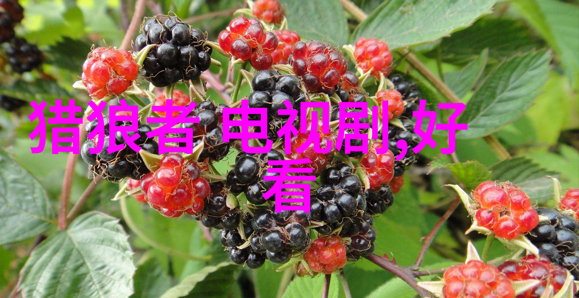 婚照飘孕味 林熙蕾称顺其自然我也想生