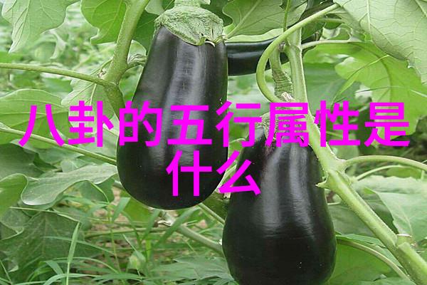 抖音音乐风云榜揭秘十首让你无法抗拒的背景旋律