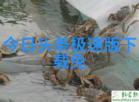 央视综艺咱们一起追星记