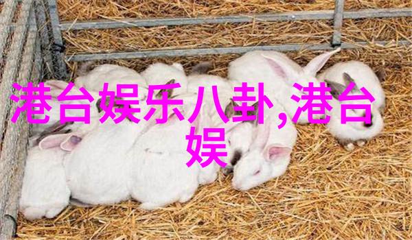 雷彬艺个人资料简历他是哪里人身价多少002638人物分析