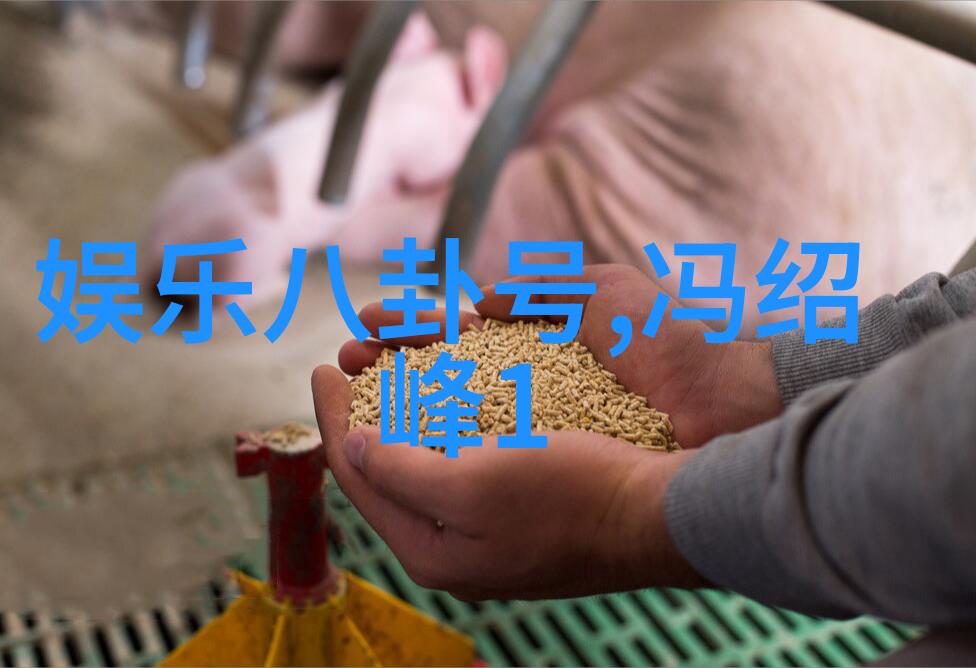 爱丽儿秘密花园浪漫的秘密之地