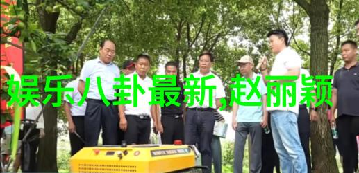 乳房写真我是如何在一次偶然的午后下乡时意外发现一张让人惊叹的老奶奶乳房写真的