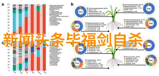 情感AI新纪元扫描图片识别另一半的深层情感