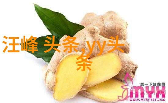 数字化文档的未来421pdf技术革新与应用前景