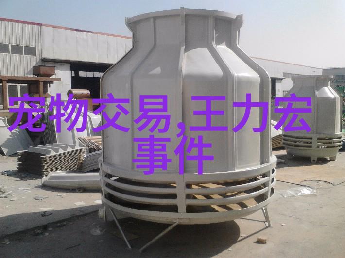 红桃娱乐震惊李荣浩前女友陆瑶近照曝光年少有为美貌依旧令人认不出