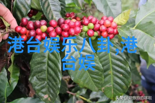 揭秘奇门遁甲从门神的指引到家中的招财猫