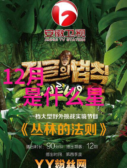 五哈开播跑男版极挑形式大于内容剧本痕迹太明显47综艺中我可担当角色
