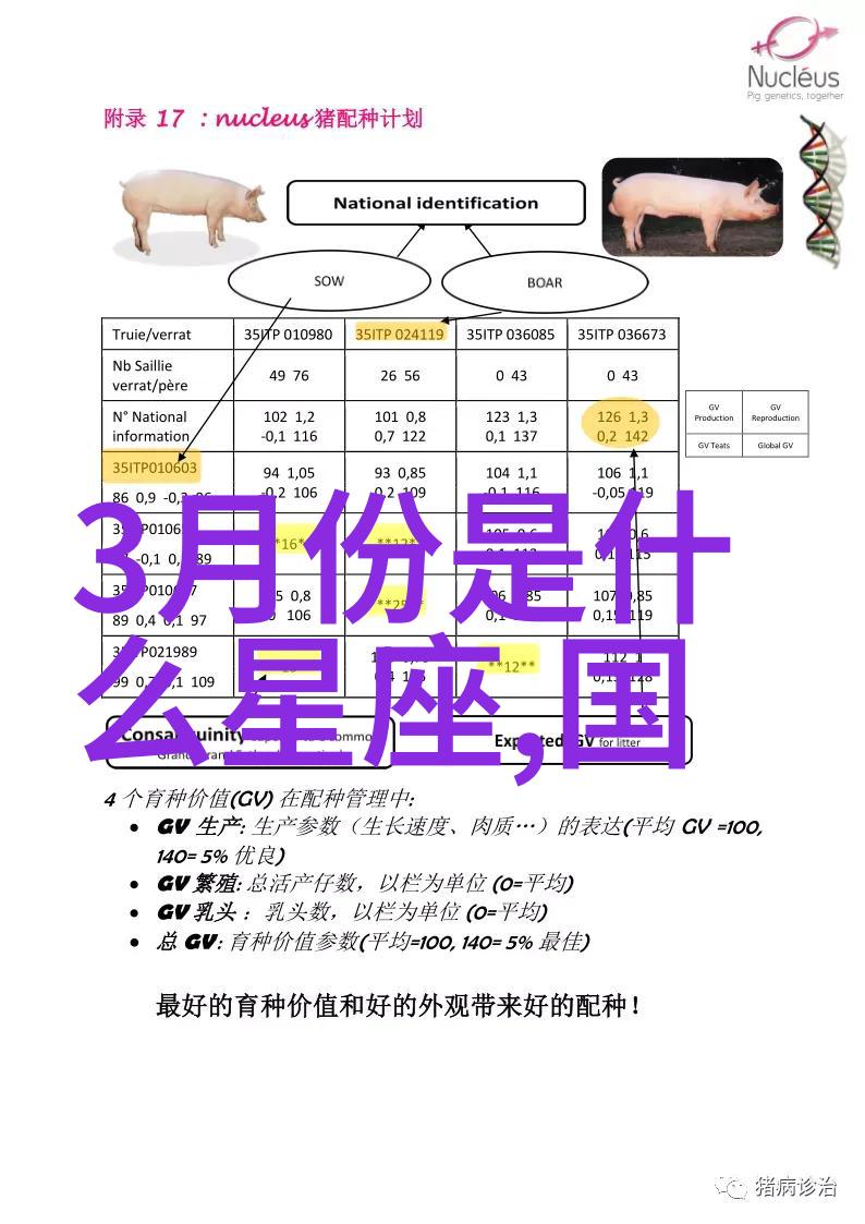 抖音时代的流行音乐现象分析最火100首歌曲中的文化影响与社会反映