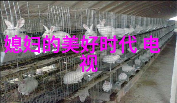 跳D开到最大C的危险游戏