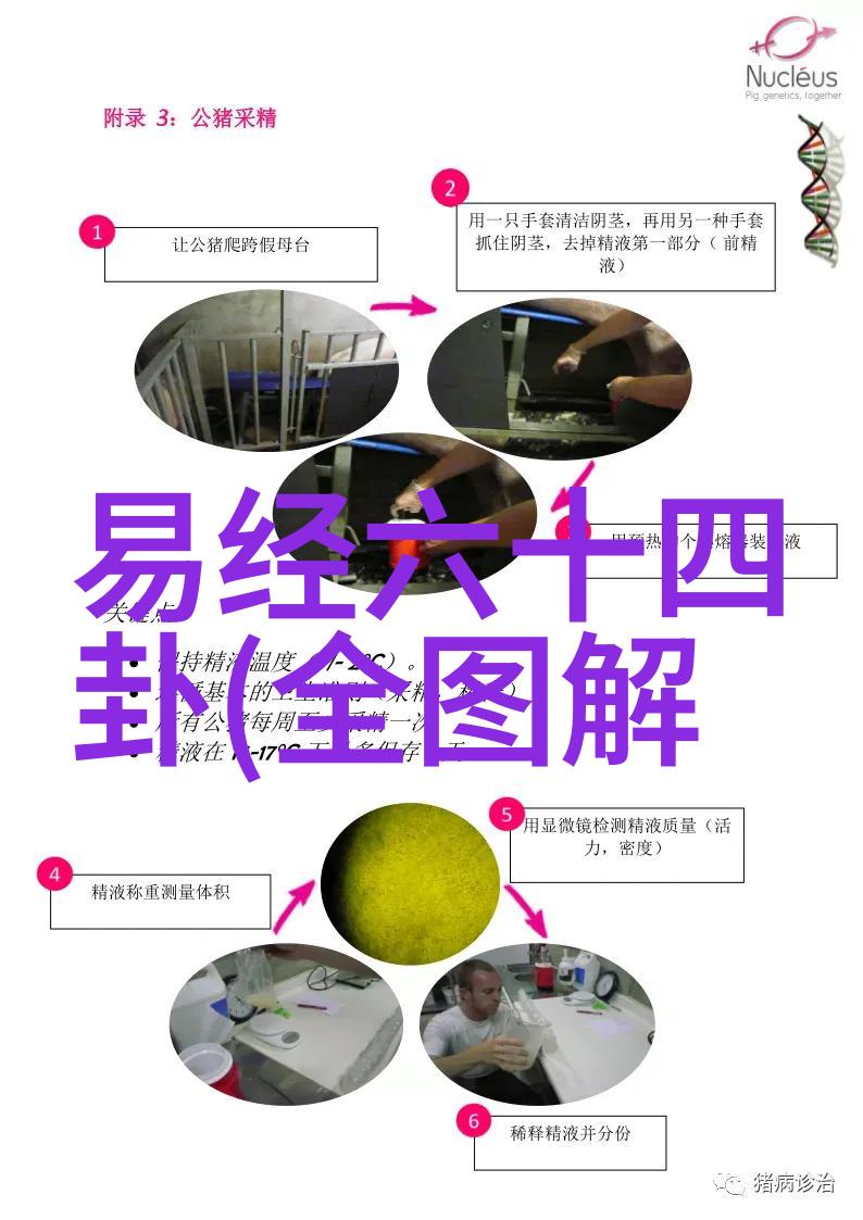 非凡娱乐探索奇思妙想的盛宴