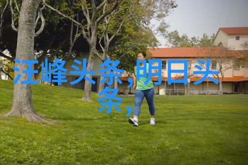 音韵回响百首心悦的纯音乐珍品