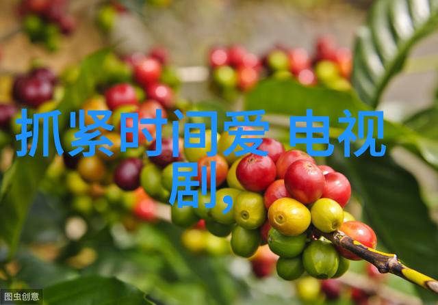 K-娱乐界新星崛起李智雅的音乐梦想