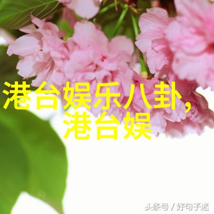 图片找相似 识别我是如何用手机一秒识别出小明的笑话里的猫的