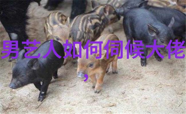 数字梦境微信背景图片的艺术探索
