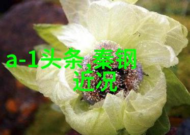 我们的美好生活综艺探索幸福共享快乐