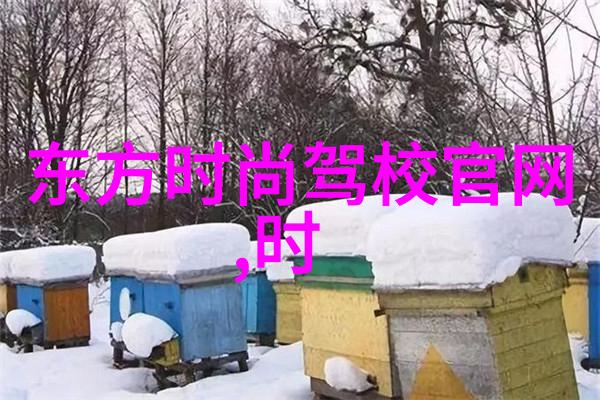 我的岳父会武术长安十二时辰导演回应删减原因网友期待易烊千玺的表现