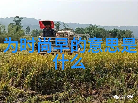 社区团结共同成长邻里活动回顾