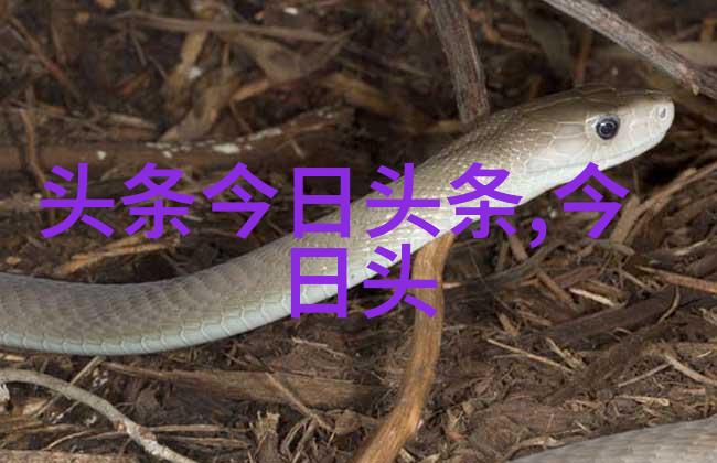 影视珍品追寻心灵之光