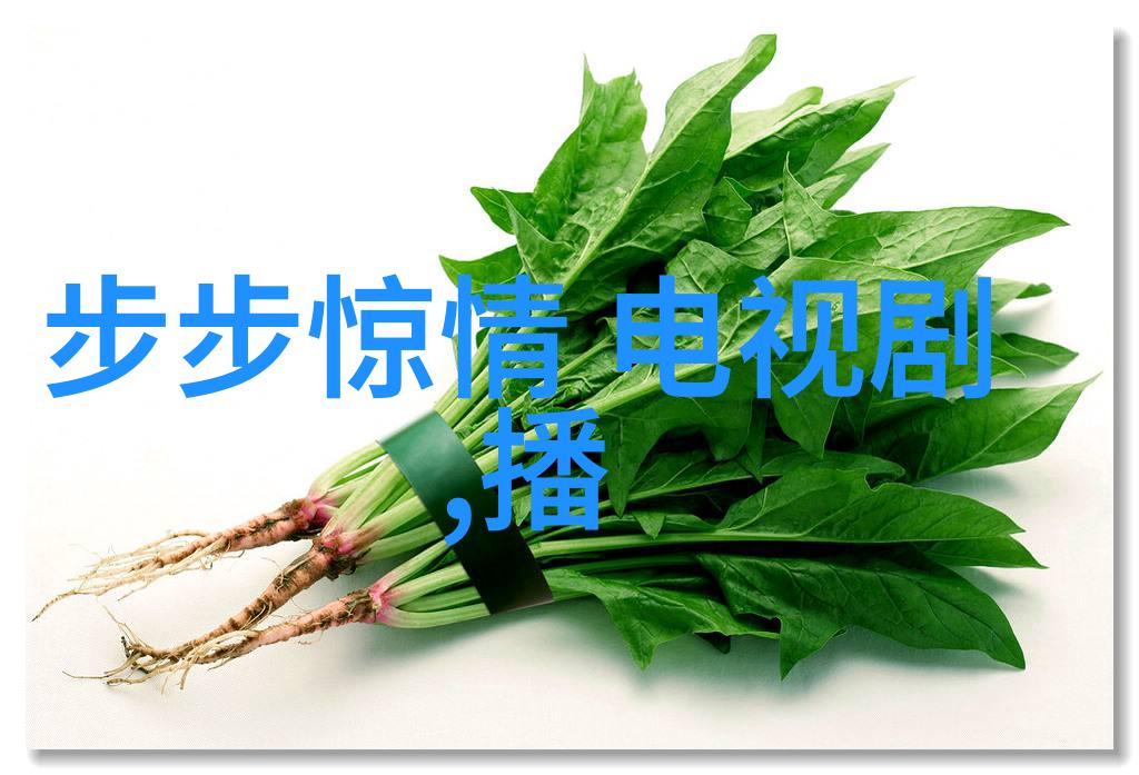 银河娱乐集团星辰大海中的演艺盛宴