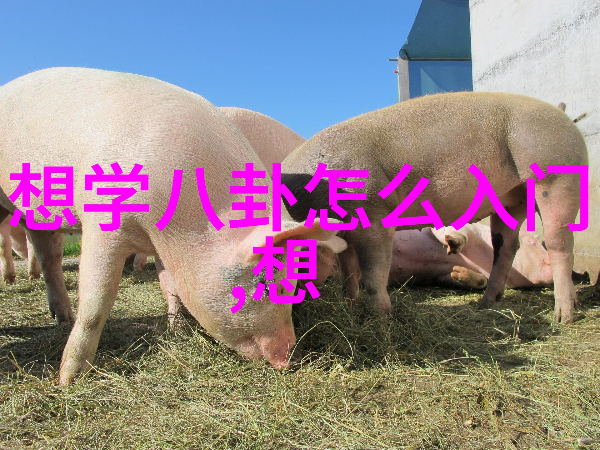 中俄合作新篇章巨额援助背后的战略深度