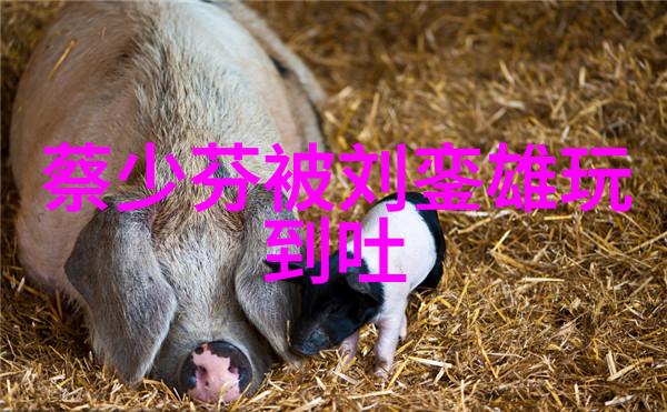情牵战场