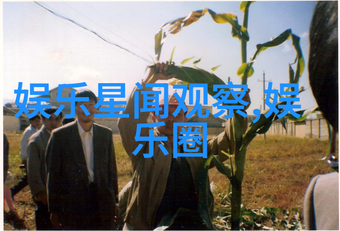 天机揭秘八字命盘全解