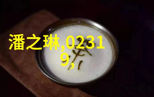武林秘笈我岳父的沉默之拳