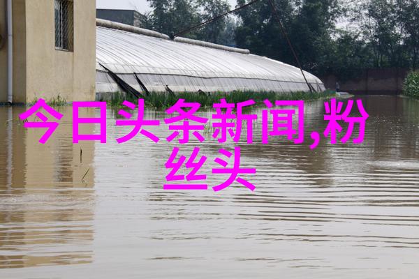 网红背后的秘密她隐藏的真实面目