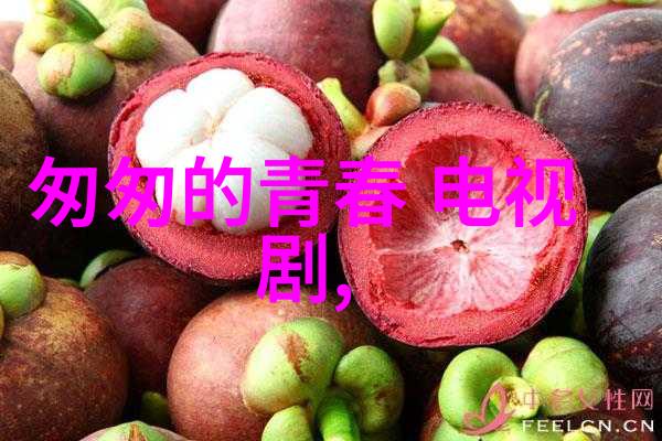 雪梨网红和老公-追星生活雪梨网红与她的幸福婚姻故事