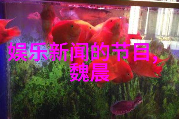 一场情感旅程女朋友的妈妈电影心得体会