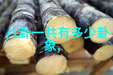 宠妃沾衣 - 皇宫里的温柔宠妃沾衣的秘密