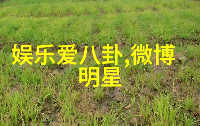 主持人如何在面对突发情况时保持冷静与专业