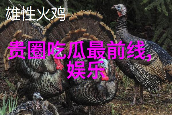 战略合作的新篇章敌伦交换第150年纪念盛典