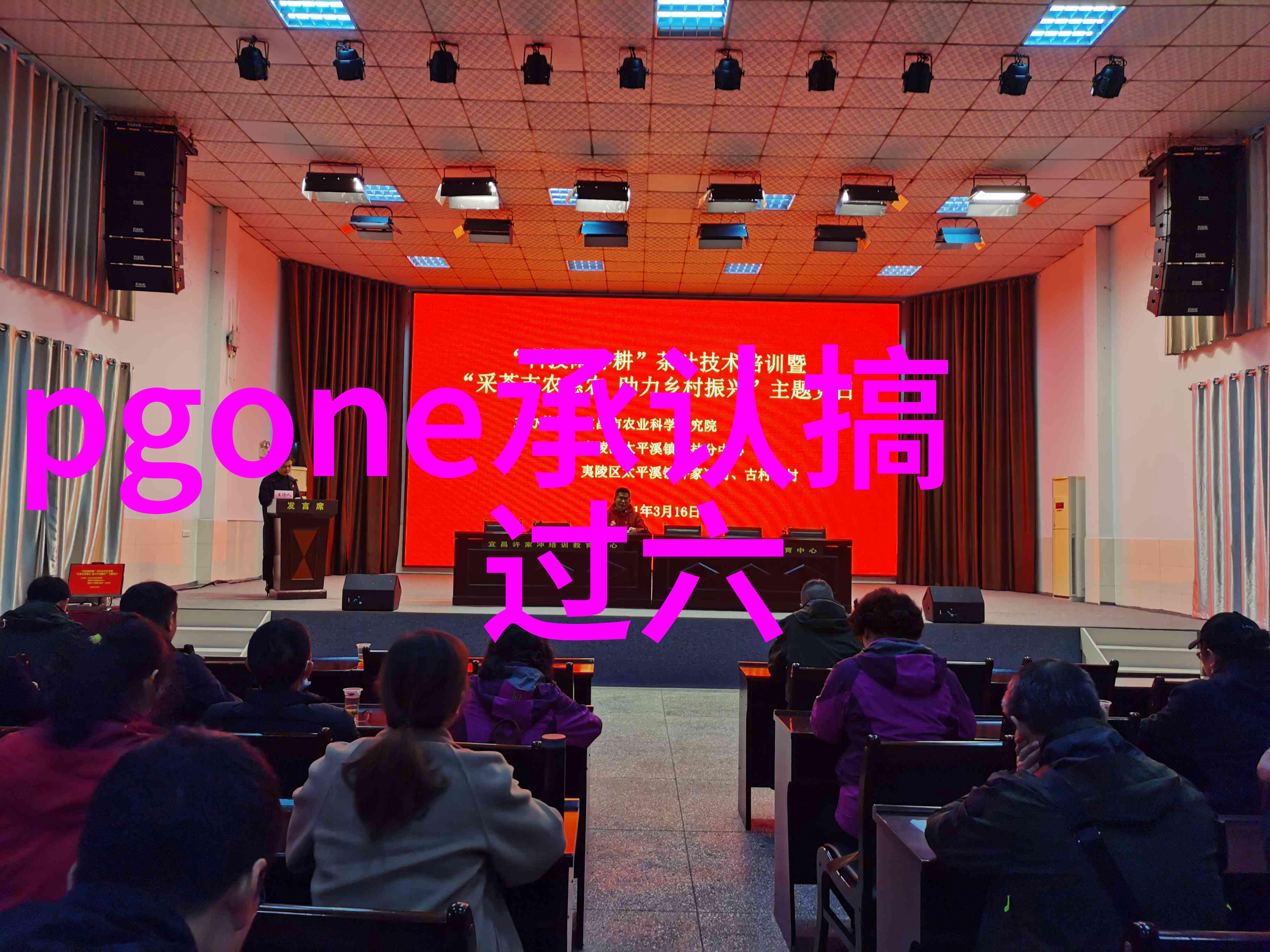全娱乐圈都在等我们离婚吗王子慧明日之子大牛和王子慧真的是双胞胎姐妹吗