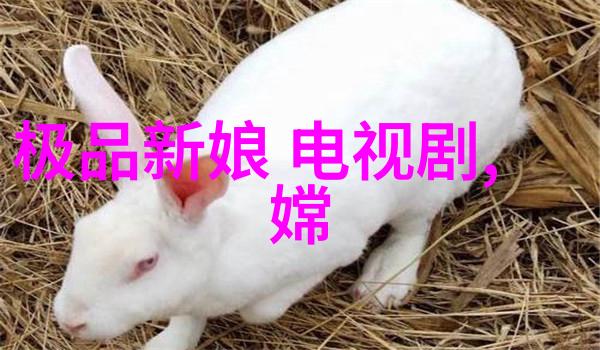 金基德新片计划66影视揭示过气演员与黑道人物纠葛