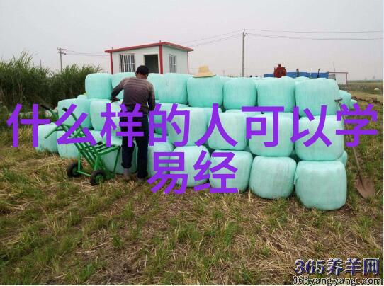 刘飞儿写真中国女歌手刘飞儿的时尚写真