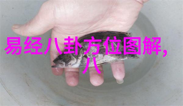 夜总会风波A-list明星与富商的秘密聚会被曝光