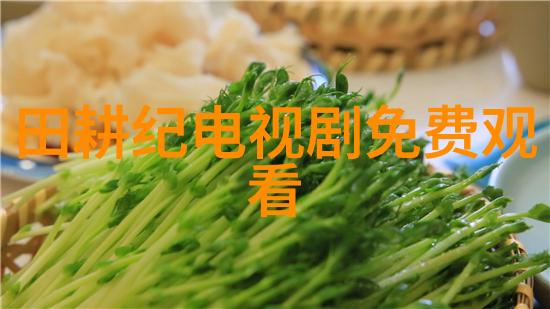 在rosi写真的背后是怎样的故事和灵感呢