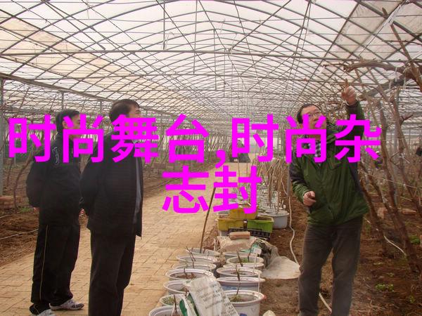 解读小区照片中的隐喻与象征意义