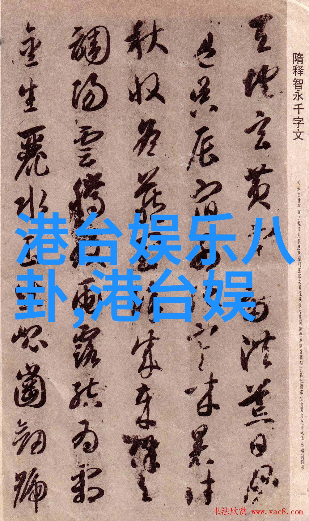 扇贝美食探秘揭秘如何轻松享受这道海鲜佳肴