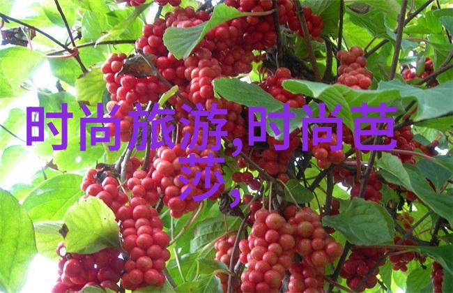 城管大楼夜幕下的光影秀赵涛点亮温影之光庆典赞叹学子专业实力如同Prada女神般闪耀