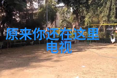 舞台上的火花芭蕾舞剧白雪公主首演成功艺术家们共襄盛举