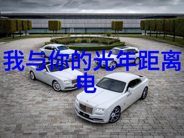 大陆集团背后的秘密与未知的征程